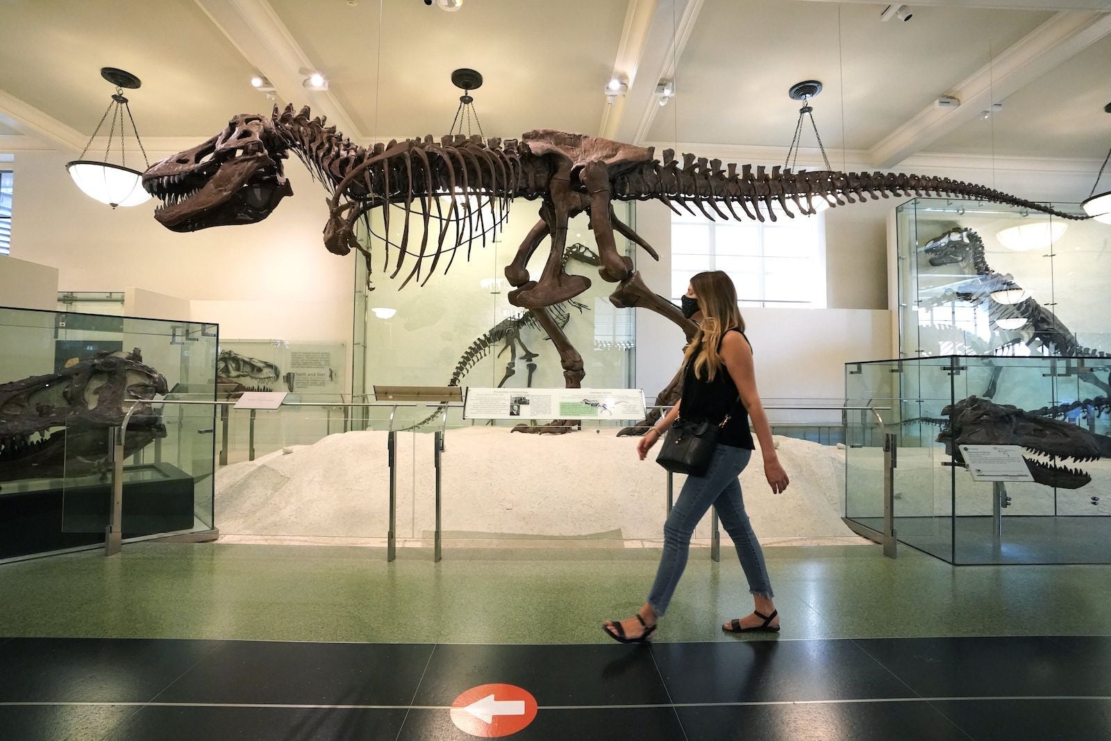 US-HEALTH-VIRUS-MUSEUM-OPEN