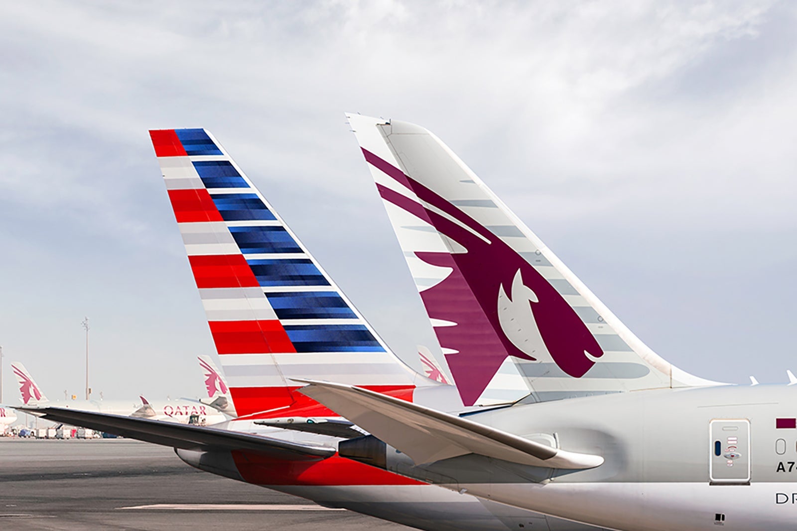 American Airlines and Qatar Livery_American Airlines