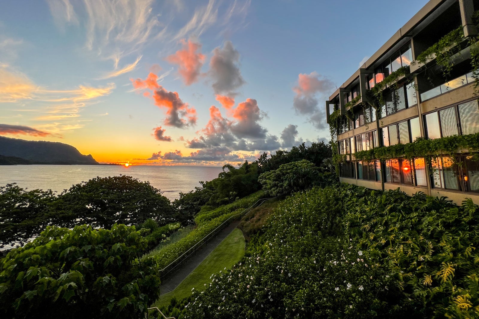 SUMMER HULL/THE POINTS GUY