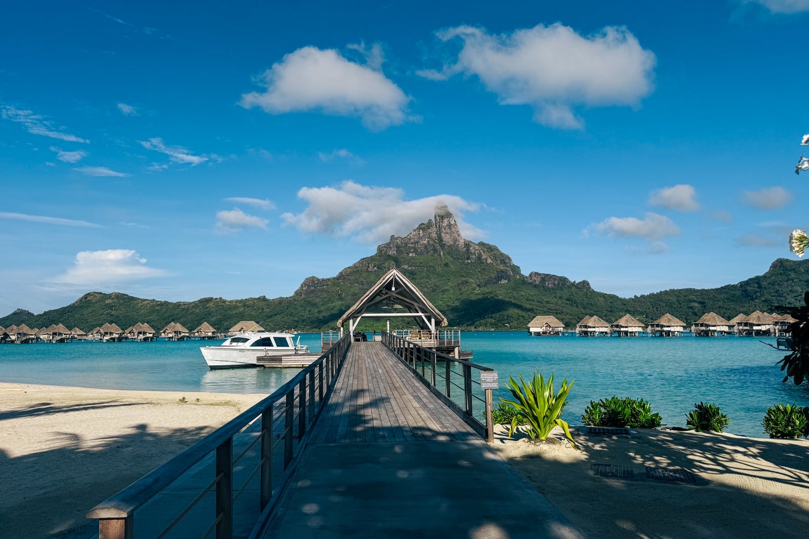 ELLIE NAN STORCK/THE POINTS GUY