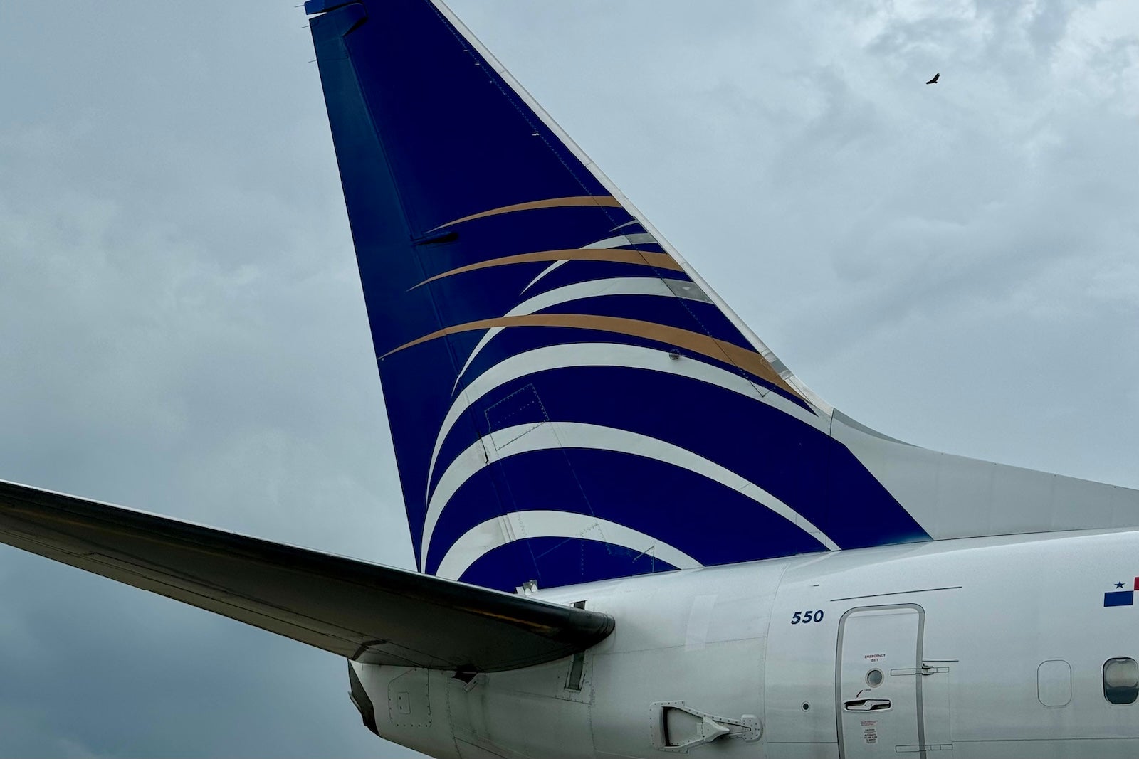 copa tail